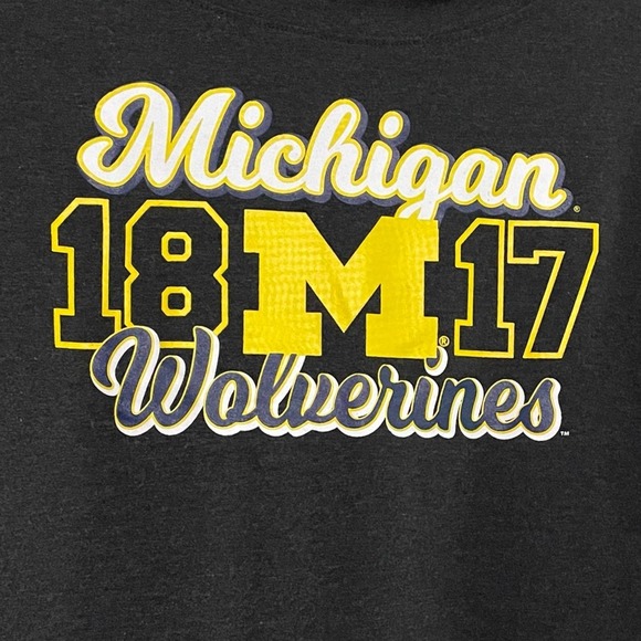 University of Michigan Wolverines Dark Gray, White & Gold Funnel Neck Pull-Over - Picture 3 of 15